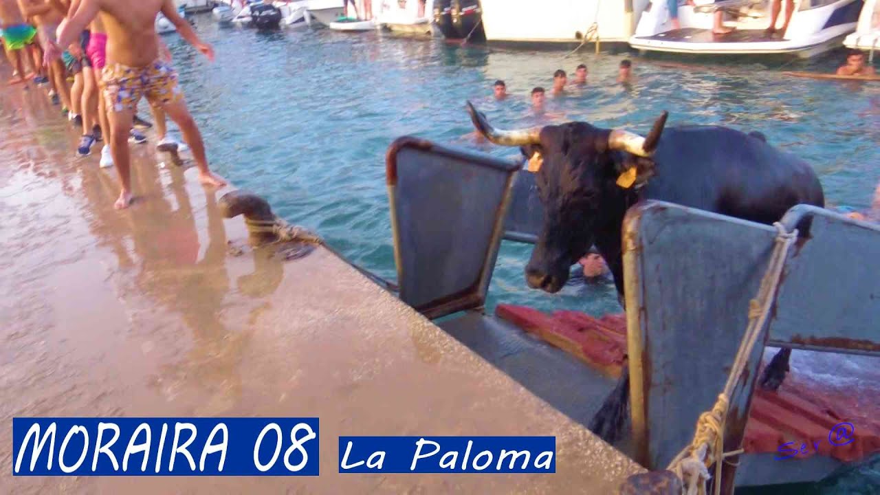 ✅2024 MORAIRA 08 Como salen los Toros del Mar