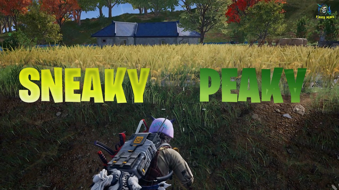 From Grass to Glory | PUBG : BATTLEGROUNDS