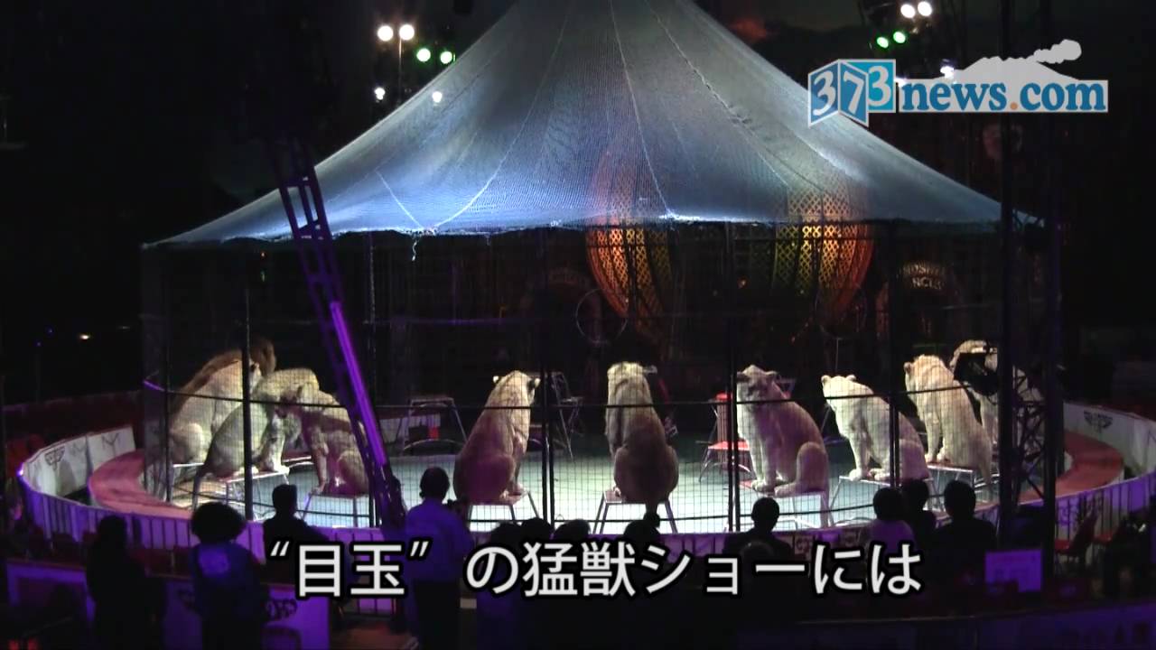 木下大サーカス､最終リハーサル 2010年11月26日
