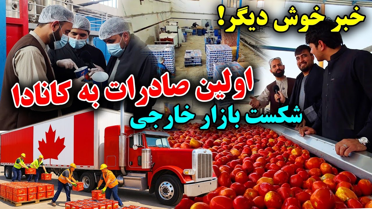 بسوی خودکفایی! صادرات به کانادا آغاز شد، بزرگترین فایریکه رب گوجه در افغانستان، دیدار معاون احمدزی