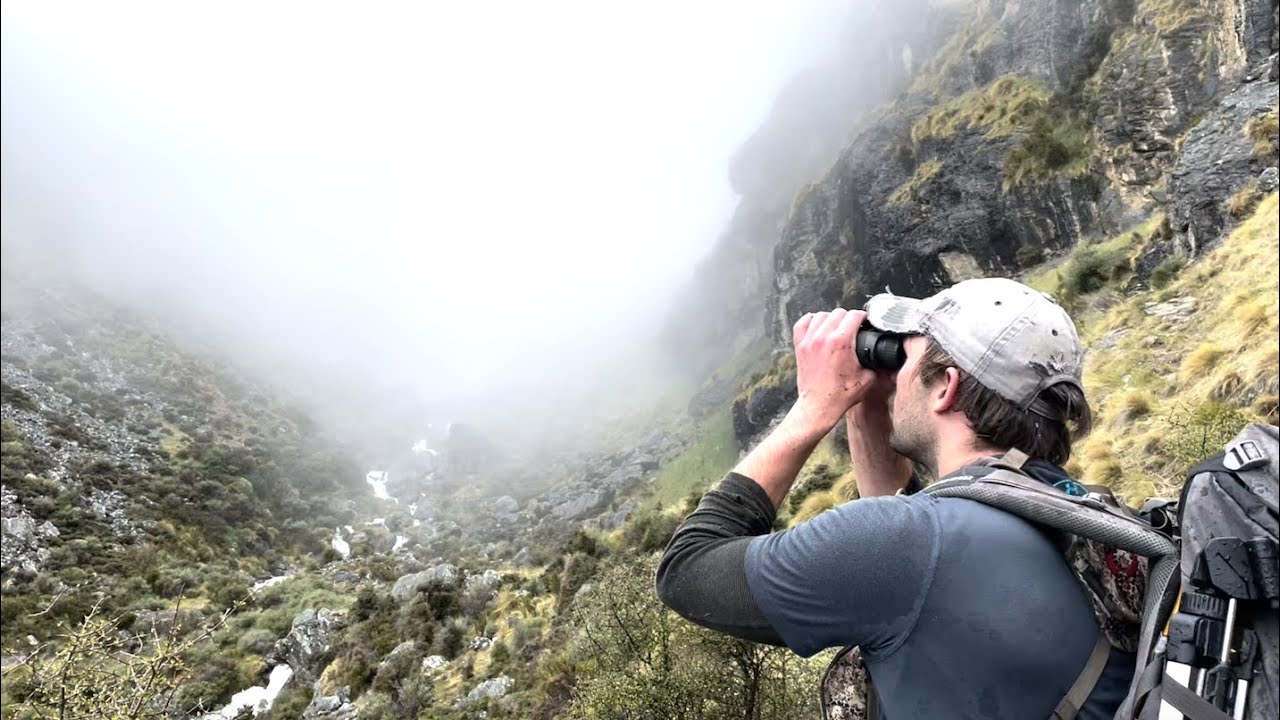 Chamois Everywhere - Mountain Hunting New Zealand