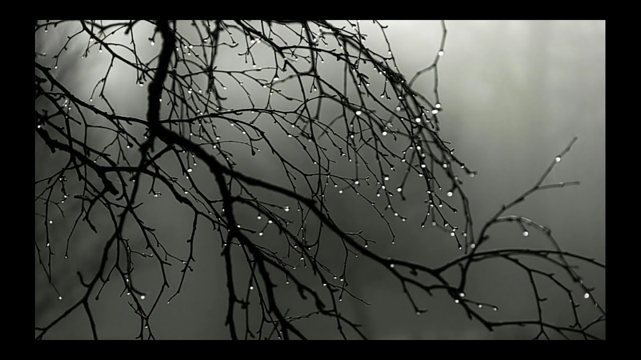 Monsoon weather in kashmir