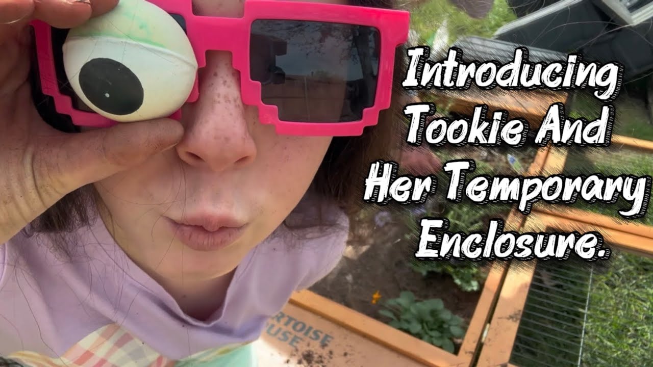 Introducing Tookie And Her Temporary Enclosure