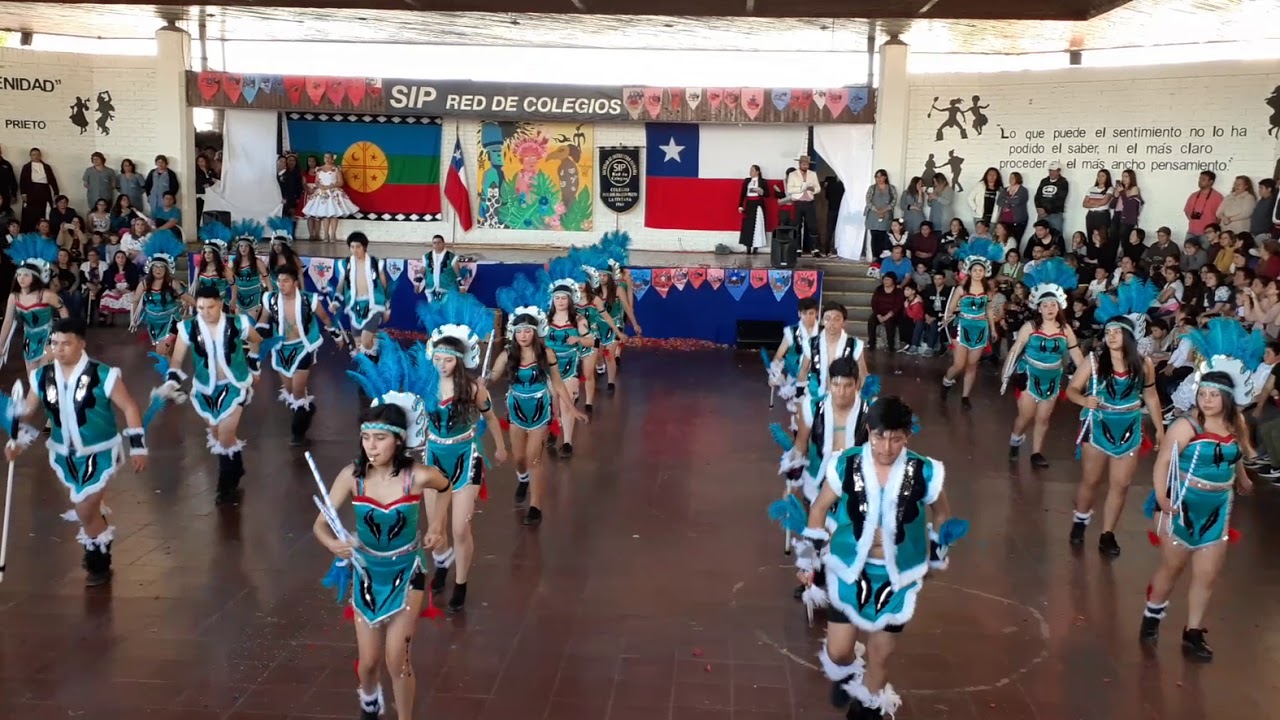 TOBAS del 3° Medio A 2019 Colegio José Joaquín Prieto