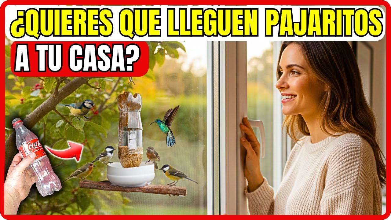 COMO HACER UN COMEDERO PARA PAJARITOS con una botella de pl&aacute;stico | Gio de la Rosa