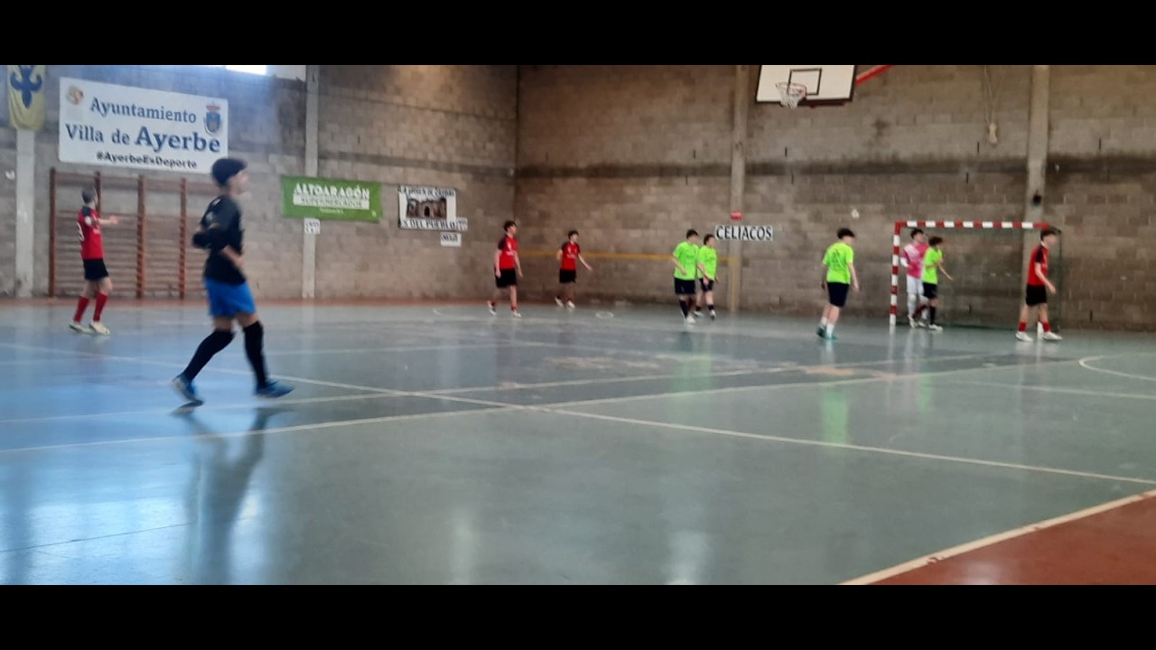 Ayerbe-Boscos 2a parte