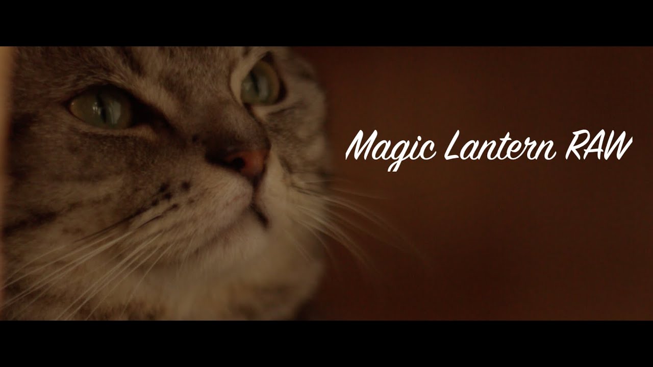 Canon 600D Magic Lantern 4k Raw