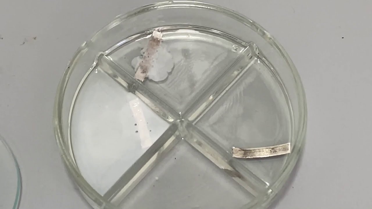Verschiedene Carbons&auml;uren reagieren mit Magnesium