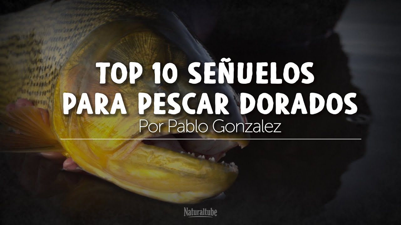 Top 10 se&ntilde;uelos para pescar dorado por Pablo Gonzalez