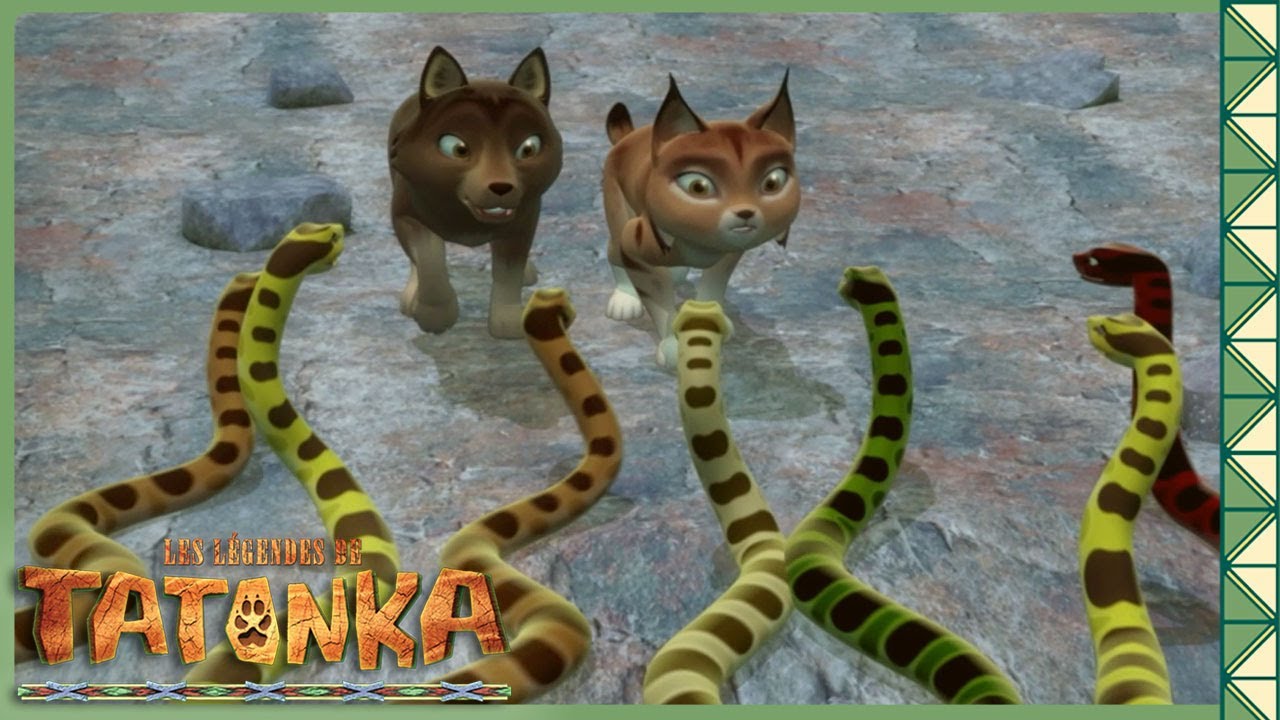 Sur la Piste : Les Secrets de la Chasse avec Tatonka | Tatonka