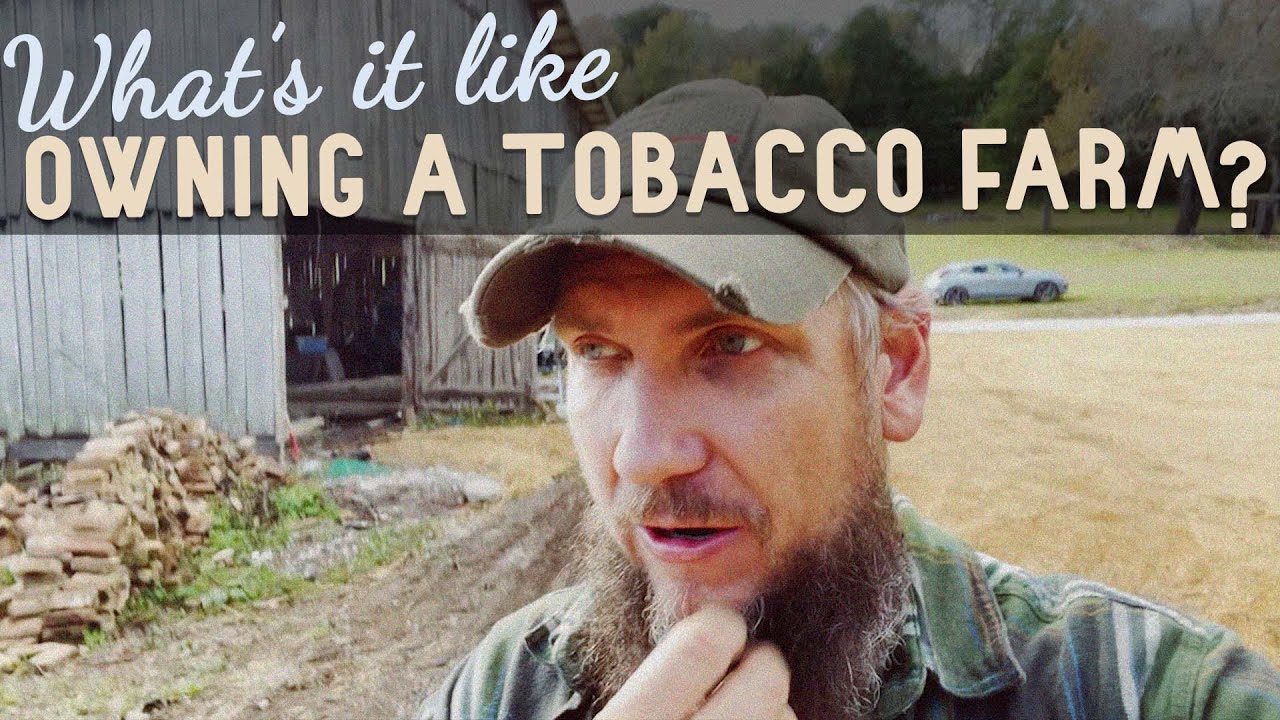 A DAY IN THE LIFE working our 200 year old TOBACCO FARM!
