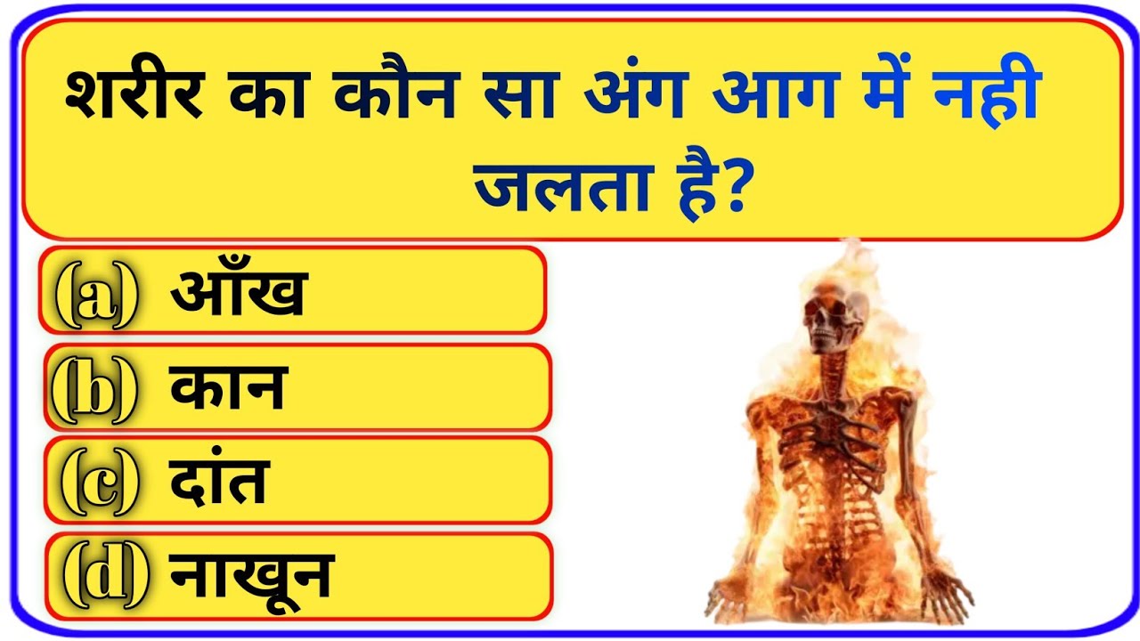 GK Question || GK In Hindi || GK Question and Answer || GK Quiz ||  @MrGkStuddy 