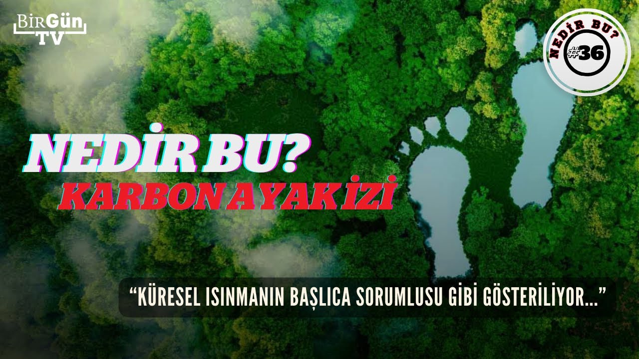 Nedir bu: Karbon ayak izi? Nasıl hesaplanır? Azaltmanın yolları nelerdir?