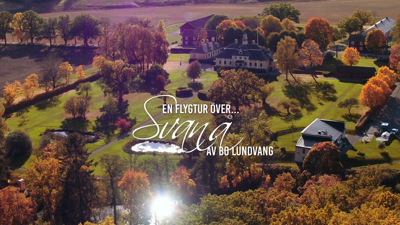 Svanå på hösten (norr om Västerås)