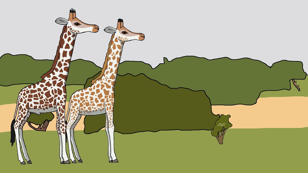 Animal Speed-Painting | Episode 21 🦒
