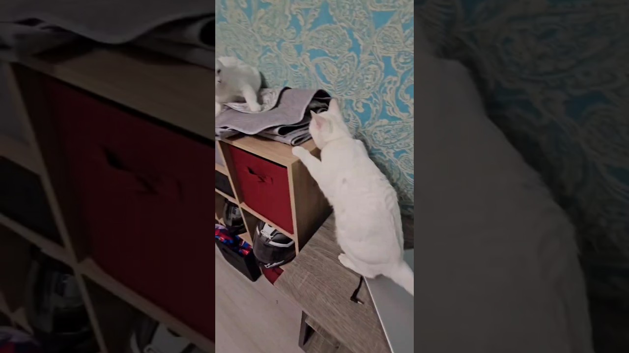 Чуть чуть не успел 