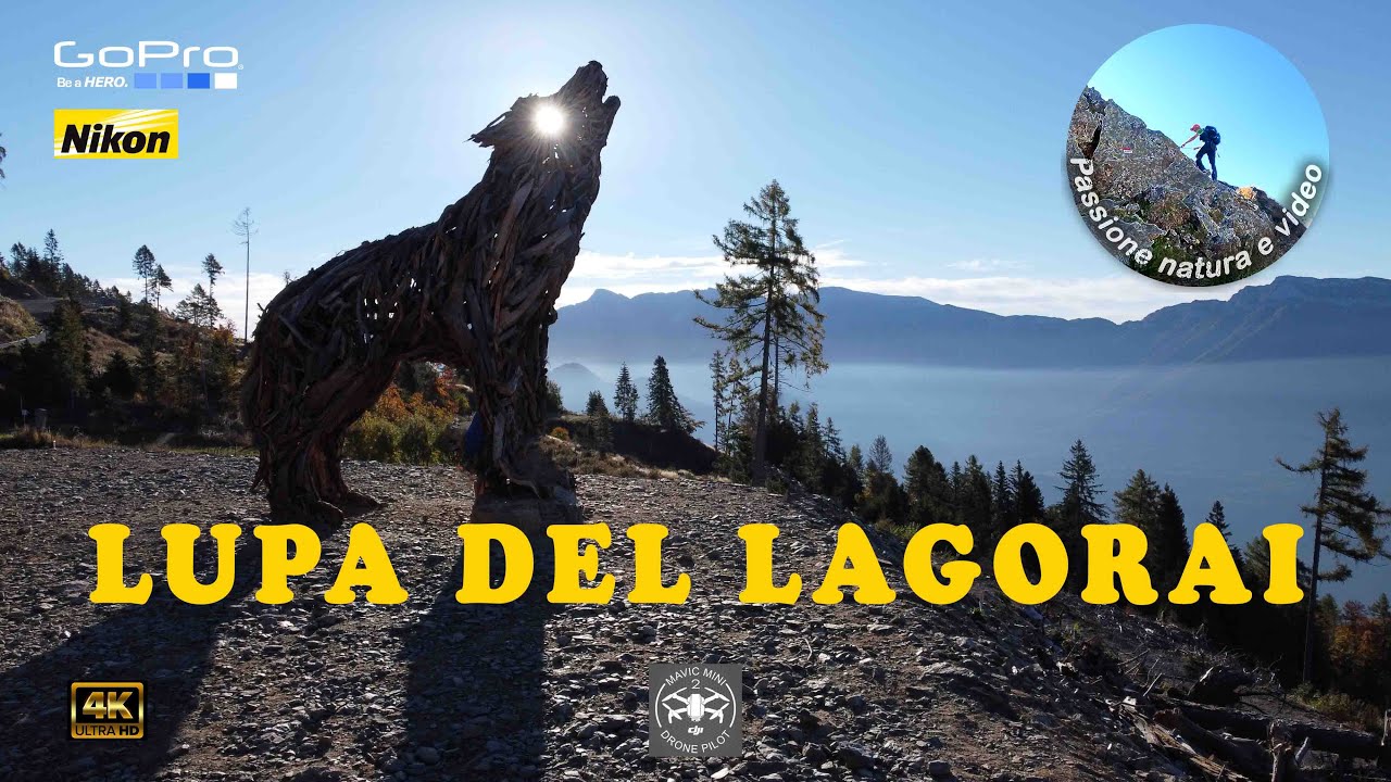 LA LUPA DEL LAGORAI  opera di Martalar, si trova a Vetriolo - LEVICO - Trentino