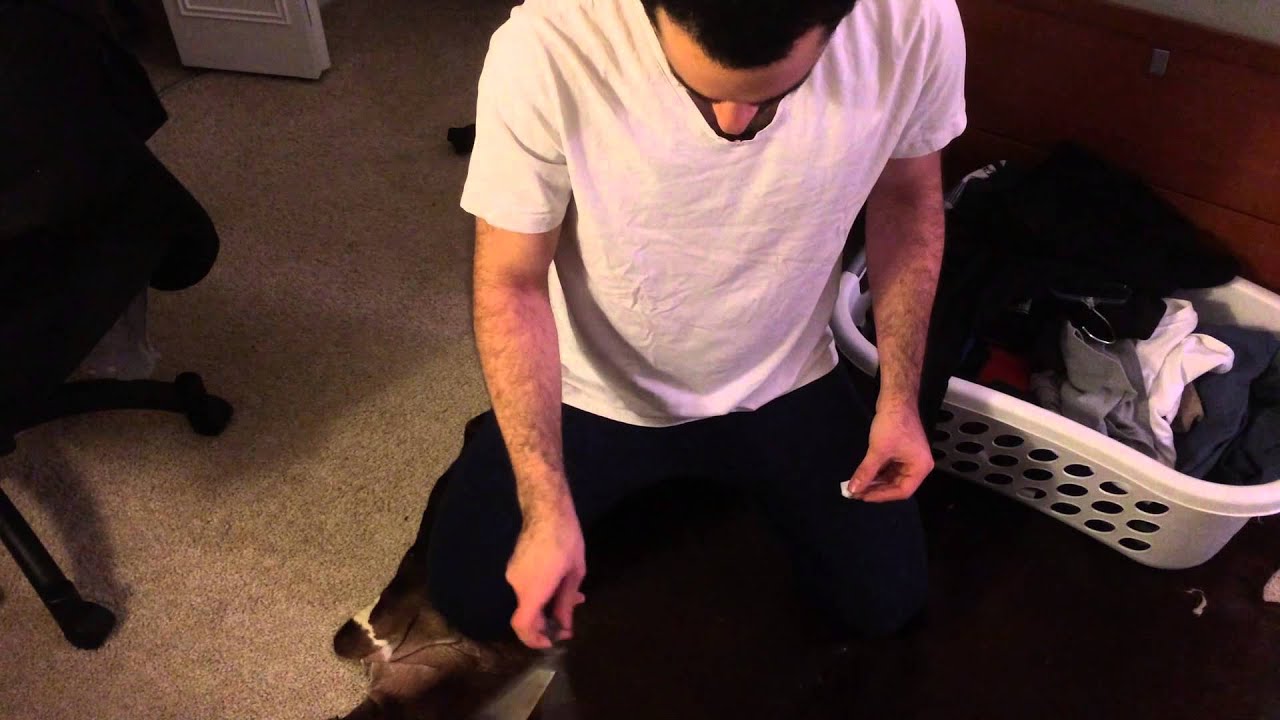 JDBA placement vid