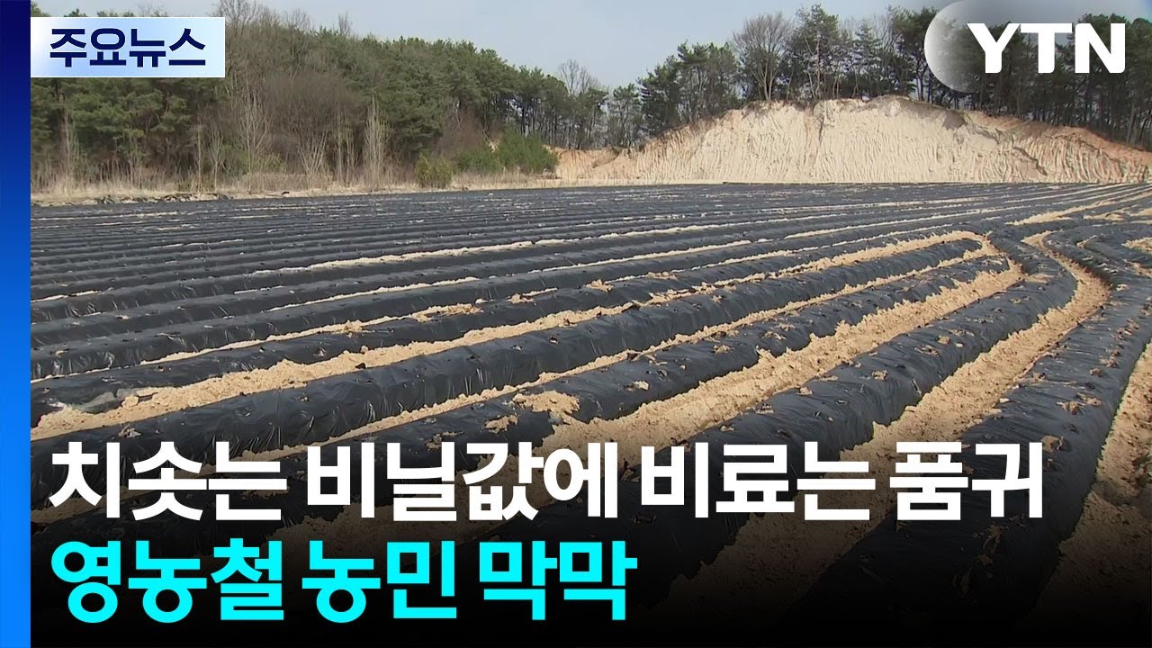 치솟는 비닐값에 비료는 품귀...영농철 농민 막막 / YTN