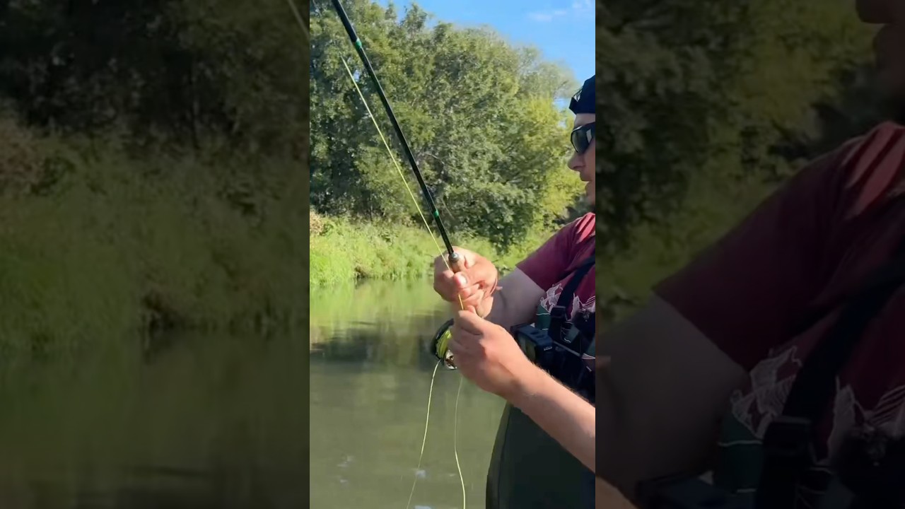 Kleń na mokrą muchę😎 (Pierwszy) #wędkarstwo #fishing #viralvideo #flyfishing #kleń #rzeka