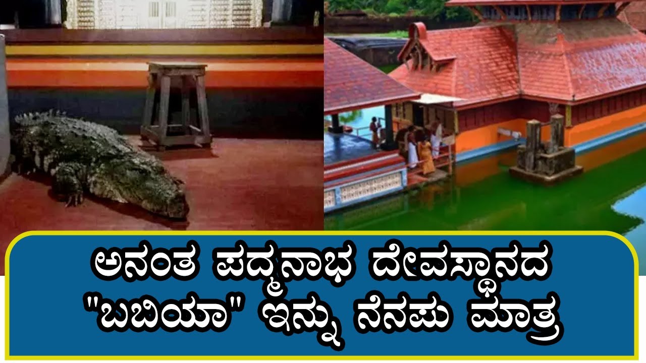 Interesting facts about 'Vegetarian' crocodile Babiya | RJ Rashid | Red Fm Kannada