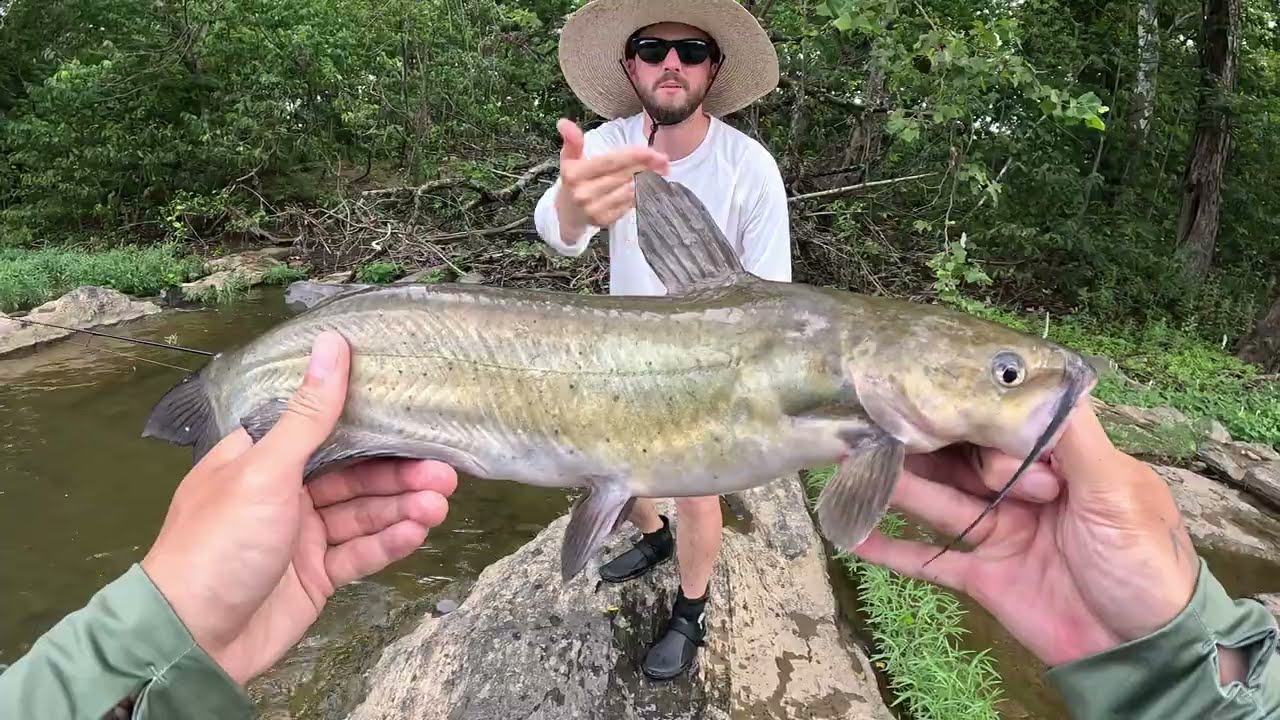 Meta Glasses + ultra light tackle = creek fishing adventures: (Harper's Ferry)