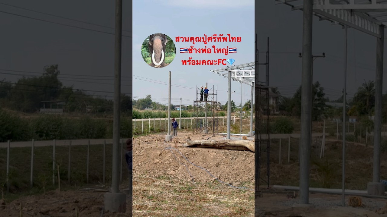 ขอบคุณ🙏พ่อๆ แม่ๆ ที่รัก🥰ทุกท่าน ขอรับ 🕉️ #elephant
