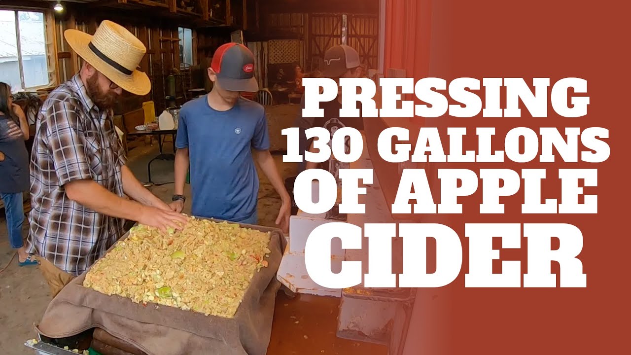Fresh Pressed Apple Cider!