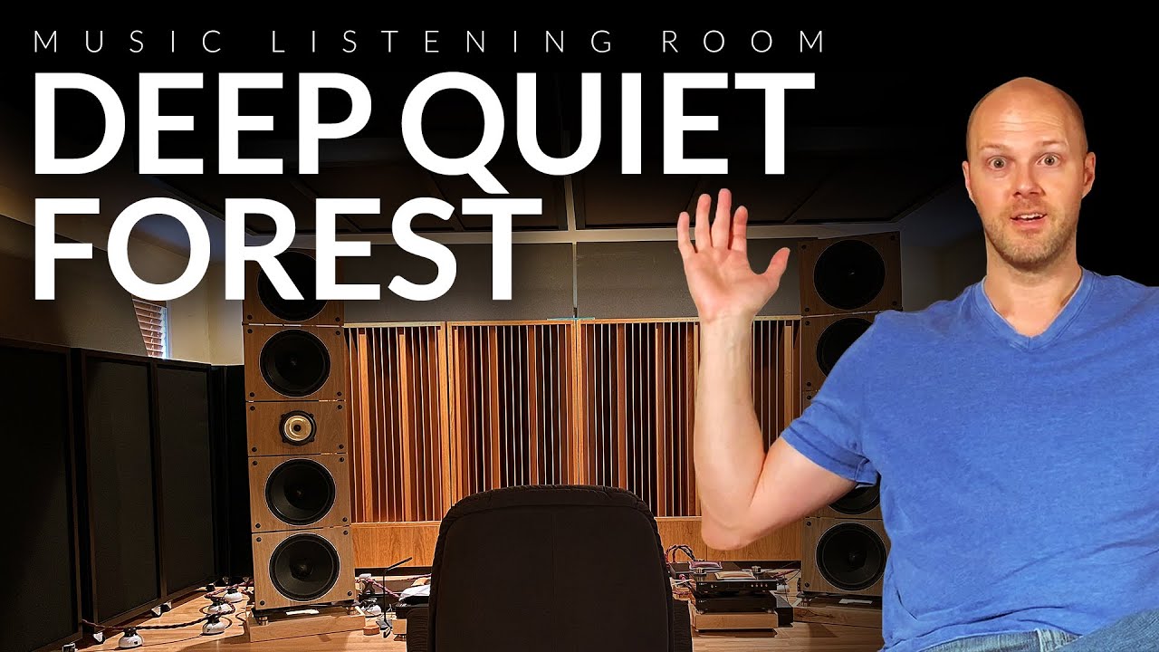 Deep Quiet Forest Listening Room - www.AcousticFields.com