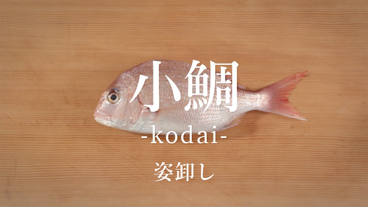小鯛（こだい）のさばき方：姿卸し - How to filet Crimson Sea Bream ver. Sugata-oroshi -｜日本さばけるプロジェクト（海と日本プロジェクト）