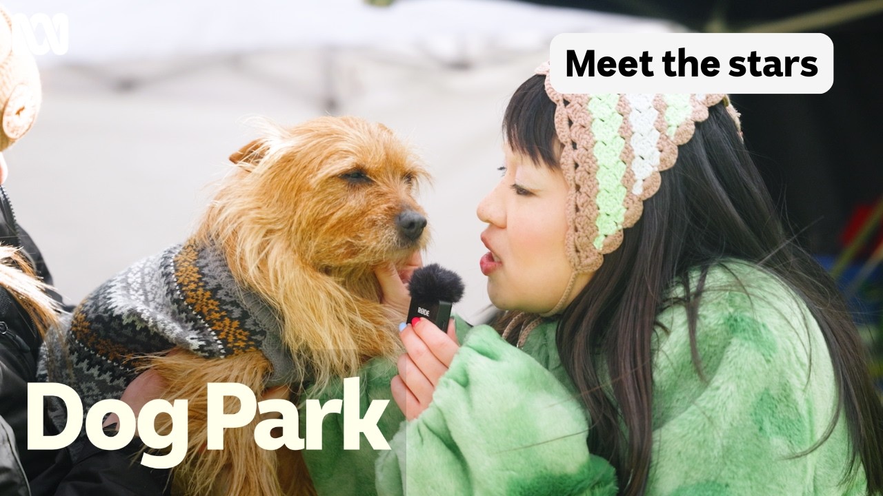 Inside Dog Park: Meet the canine cast