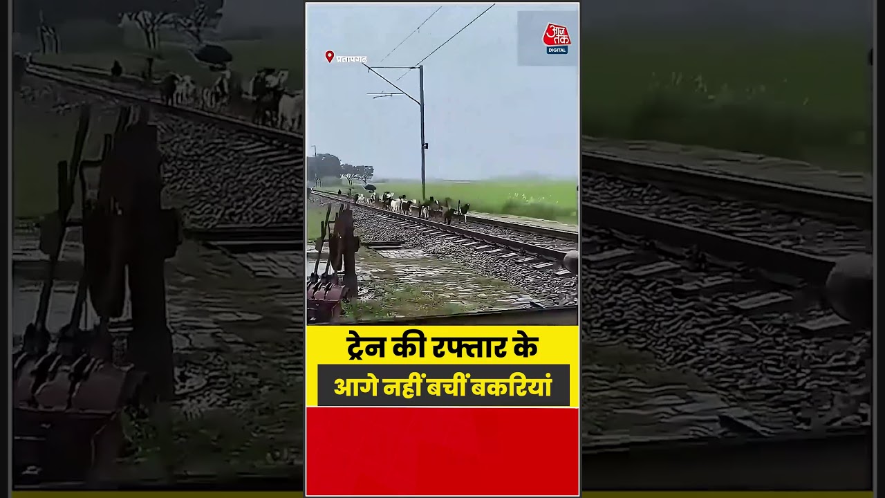 Viral Video: ट्रेन की रफ्तार के आगे नहीं बचीं बकरियां#shorts  #latest #viral #aajtakdigital