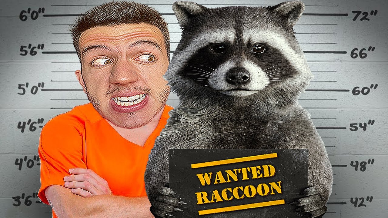 СТАВАМ ЕНОТ-ПРЕСТЪПНИК ЗА 1 ДЕН | WANTED RACCOON | ЕПИЗОД 1