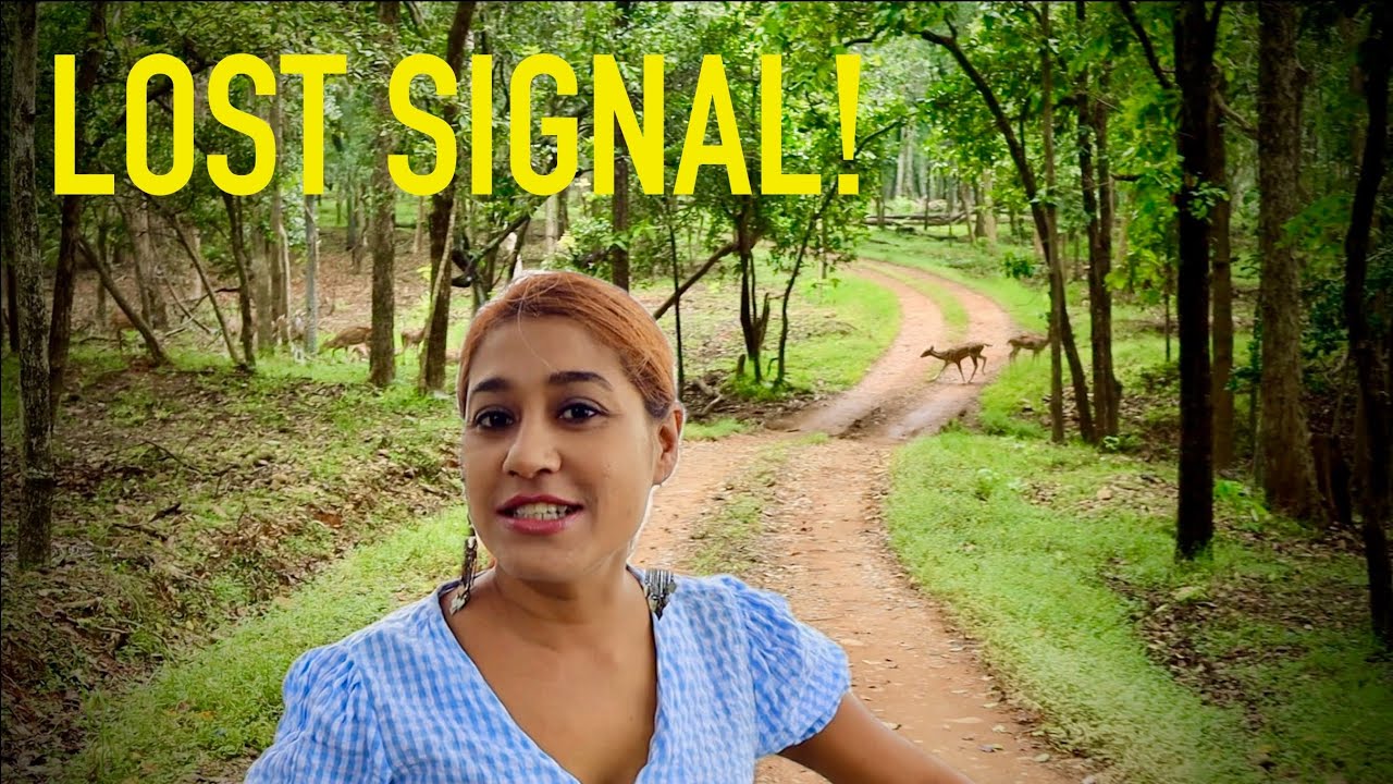 3 NIGHTS WITH NO NETWORK | Deep Forest Stay Where Jungle Meets Water - Unexpected!! Offbeat Odisha