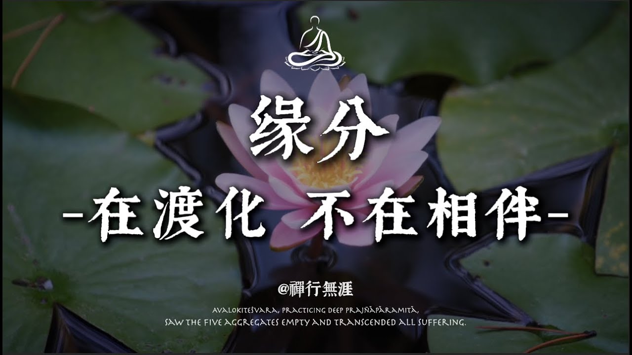 世間最深的緣分，不是一生相伴，而是彼此度化。讀懂讓人淚目｜ #修行 #國學 #人生感悟 #治癒