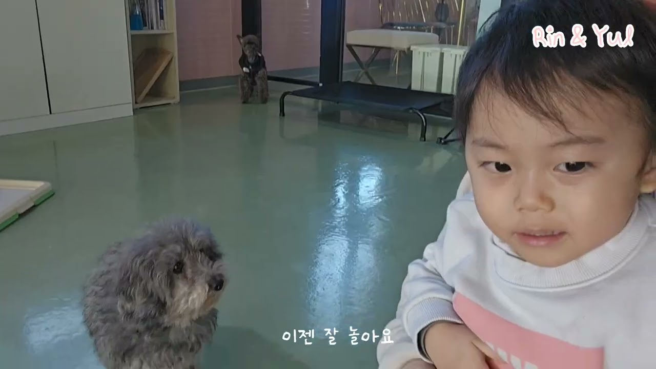 26' 군산 여행_설 연휴 맞이 군산 여행