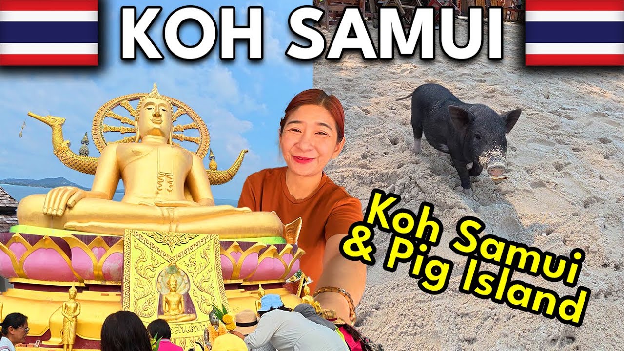 🏝️ Exploring Koh Samui & Pig Island | Full Island Tour & Day Trips 🇹🇭