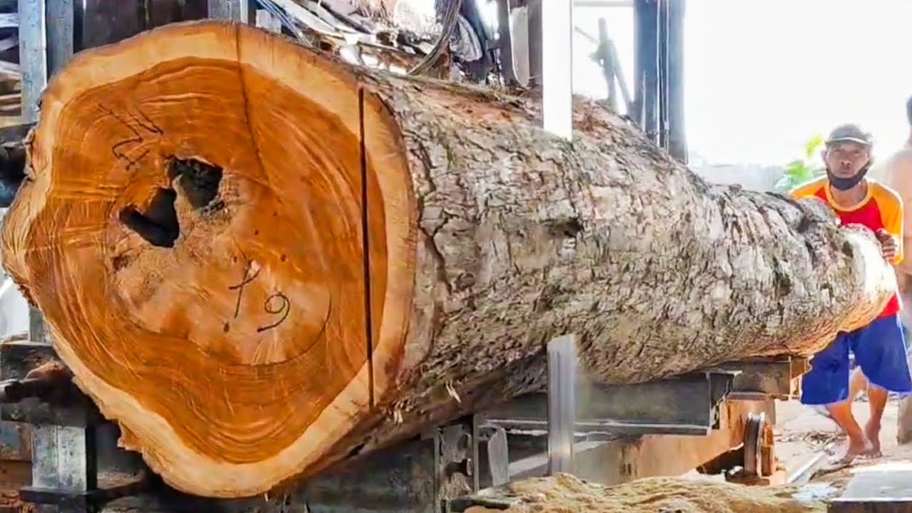Sawing premium quality wood
