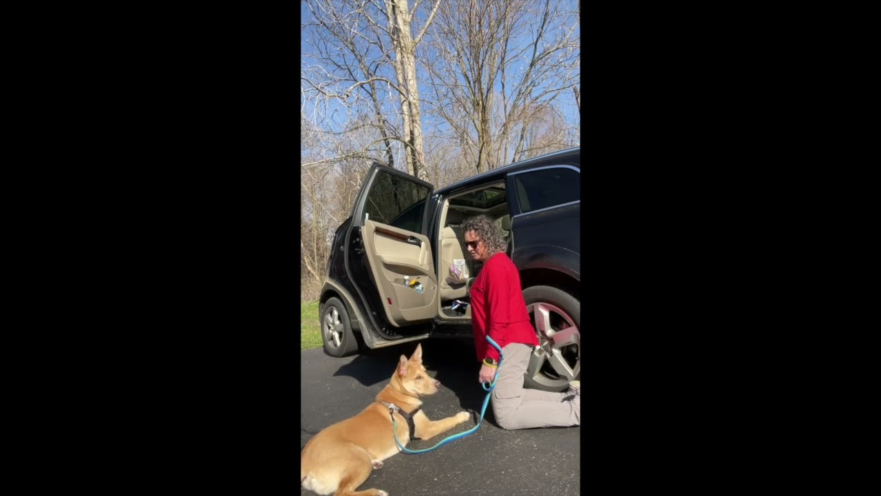 Notch car ride part 3