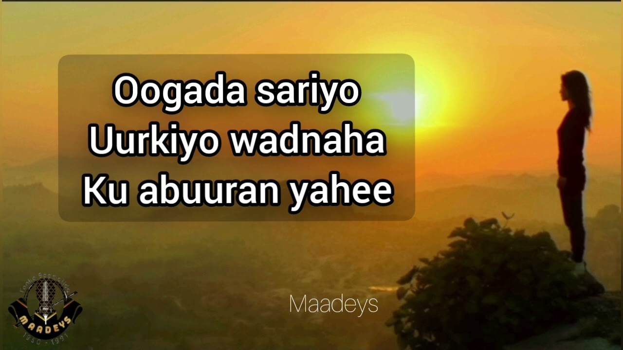 HEES | Indho Caashaq | Maryan Mursal Ciise | Original +Lyrics