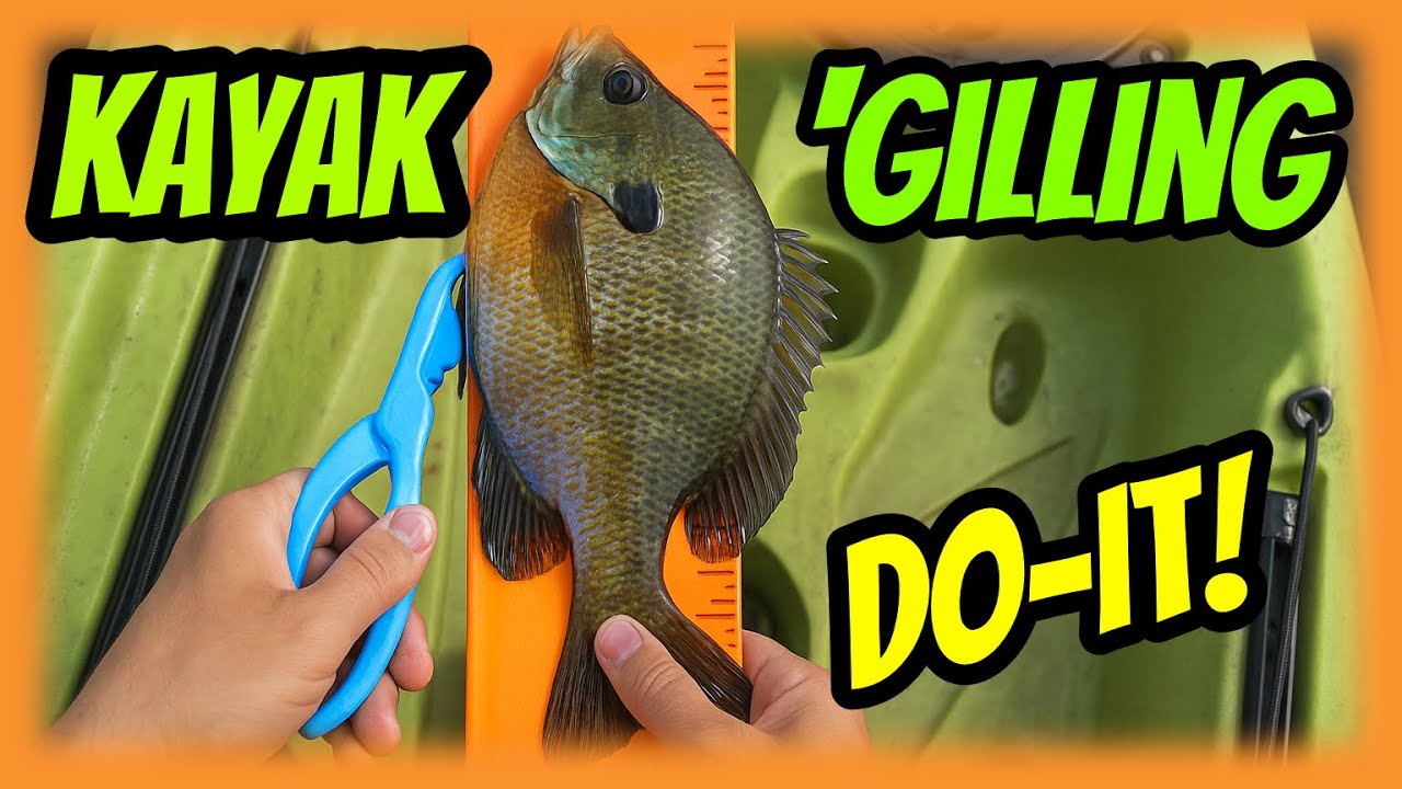 Dominate Bluegill Fishing From Your Kayak 
