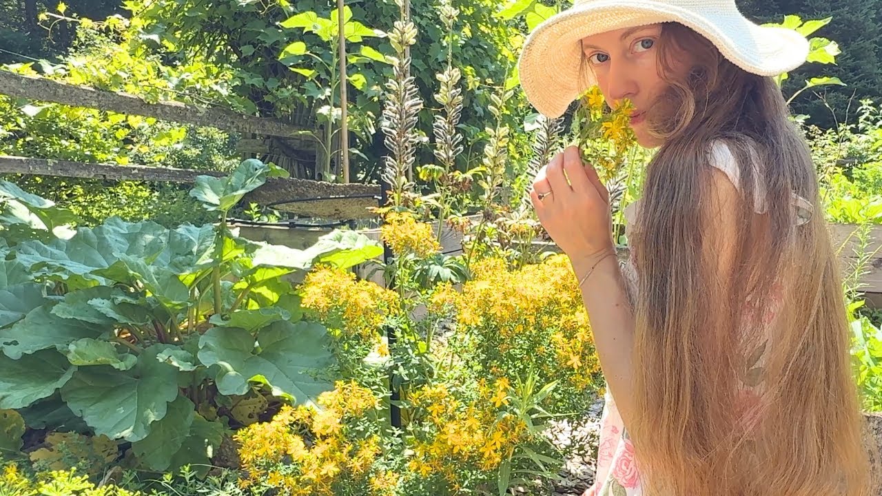 late summer on the homestead 🌼 wedding prep, harvests, and herbal remedies