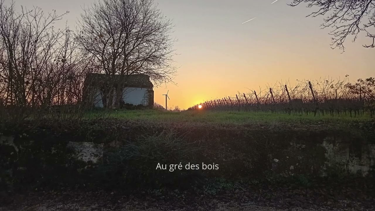 Au gré des bois