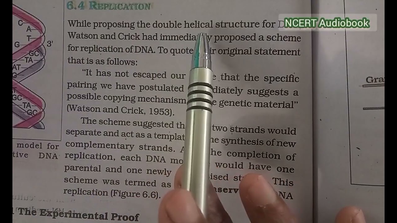NCERT Audiobook | Molecular basis of inheritance | Class 12