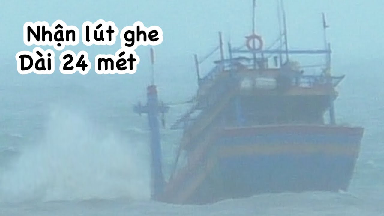 Trùm Cá Cây Quy Nhơn Ra Cửa Phú Lạc ​⁠@bogiadibien