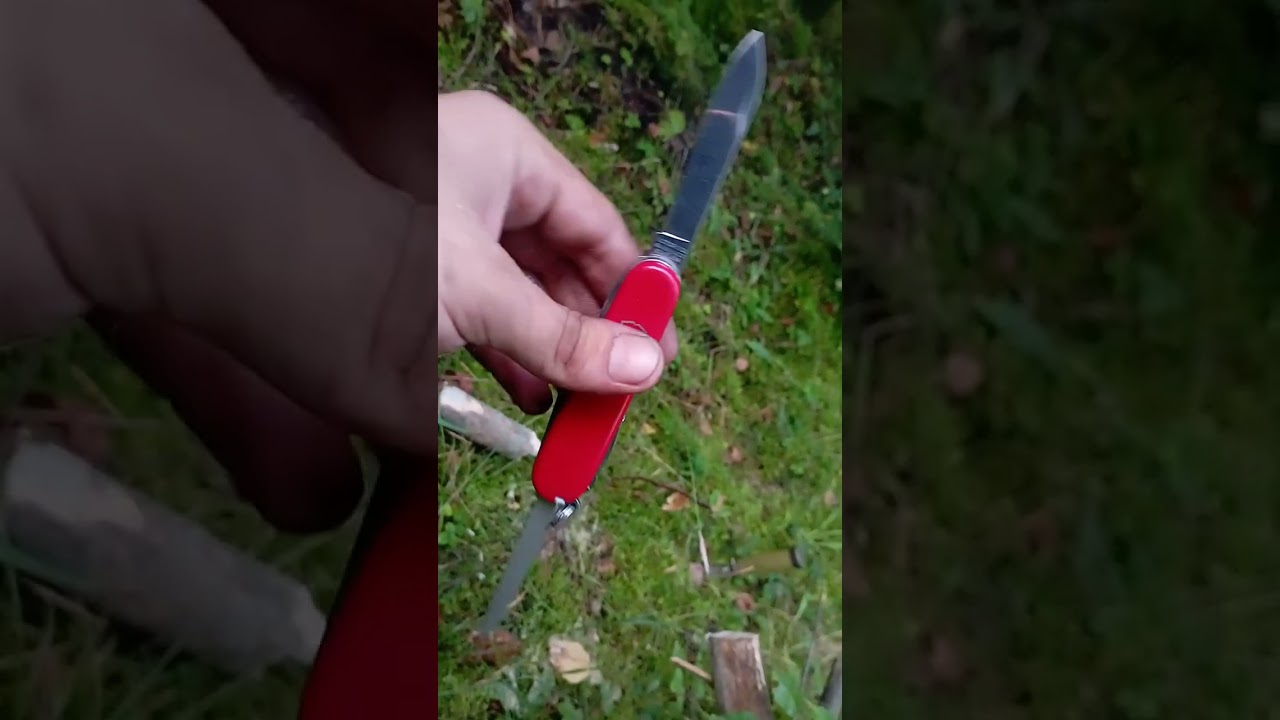 Wł&oacute;czykij Filipek scyzoryk Victorinox Huntsman prezentacja om&oacute;wienie Alone in The Forest 🌲🐦🦊🐦