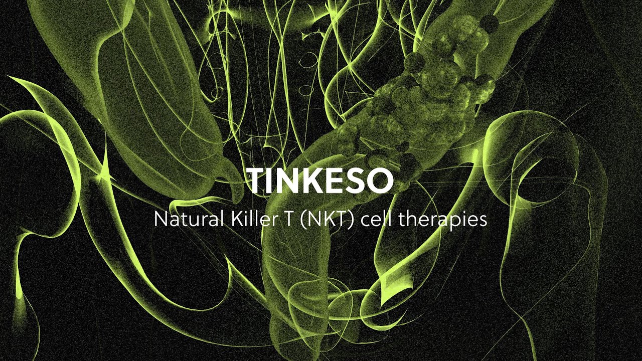 Natural Killer T (NKT)