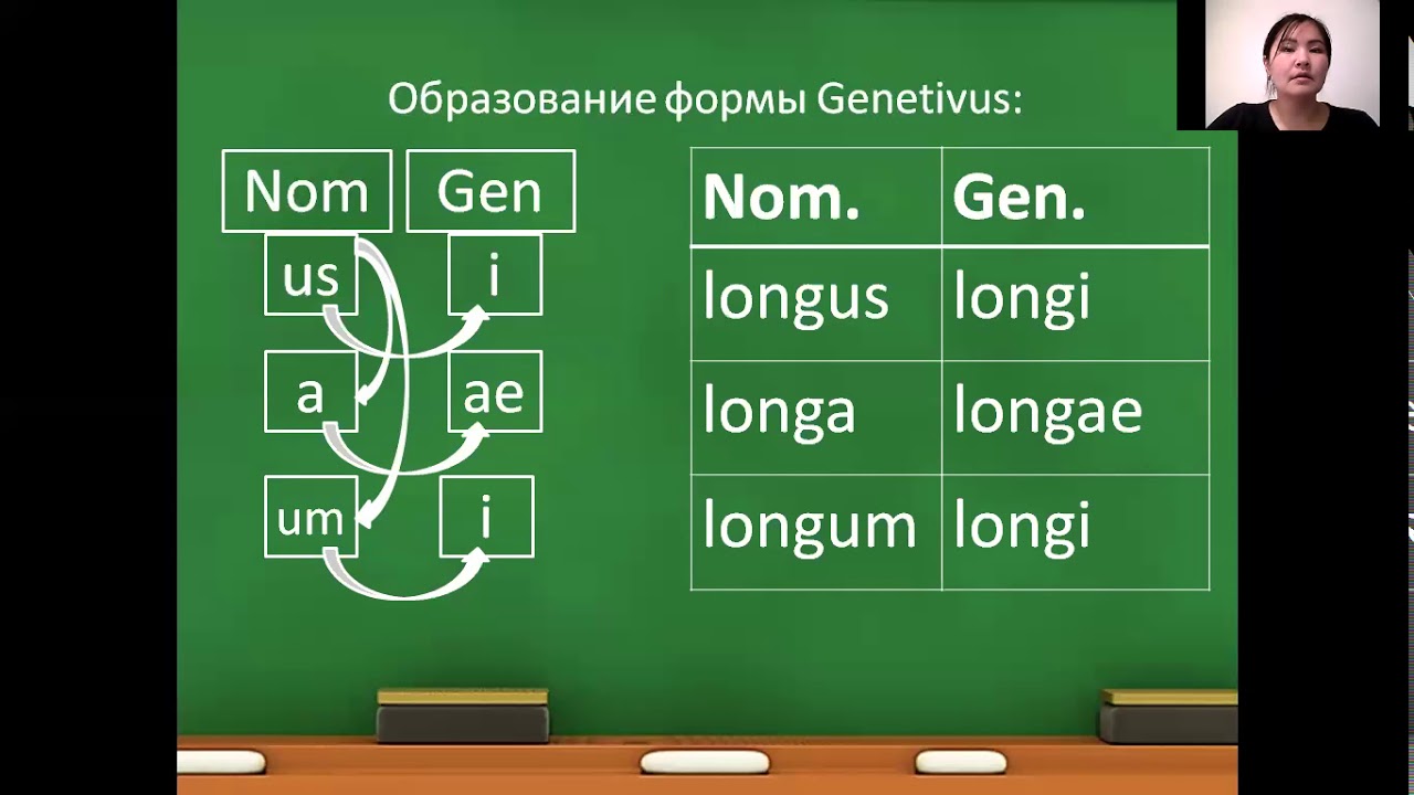 согласование прилагательного с существительным