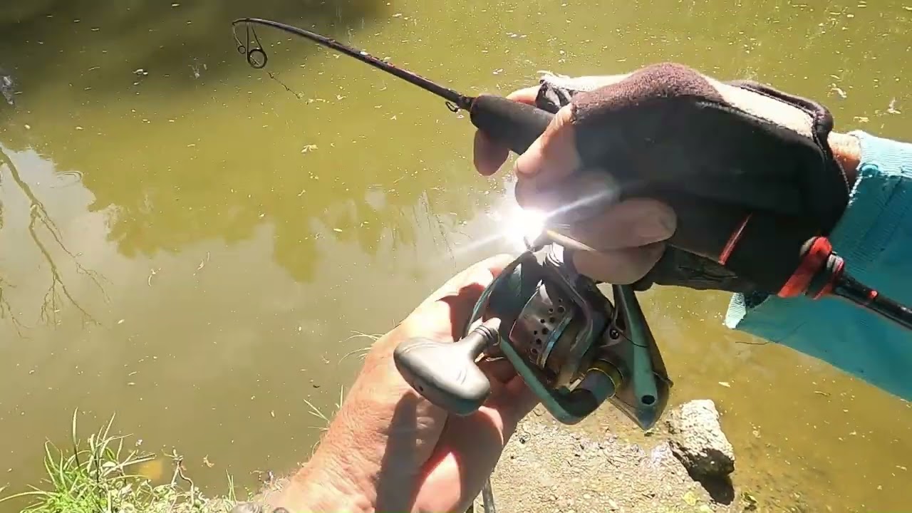 Magic Trout Cito Ultra-Light Lure (1,80m 1g-5g)... bevet&eacute;sen... ul horg&aacute;szat Kirillel 07.23