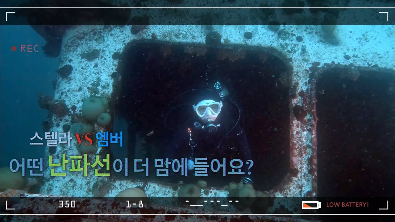 [4K] 강릉 난파선 포인트는 스텔라만 있는게 아니죠! 엠버도 스텔라만큼 유명하답니다  | 경포다이브리조트 | 난파선포인트 | 강릉바다시야대박